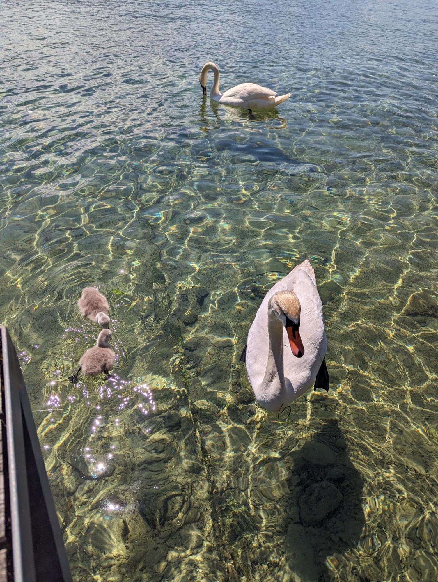 Seehaus Miglbauer Attersee Buitenkant foto